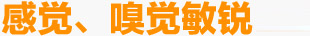 感應(yīng)嗅覺(jué)敏銳