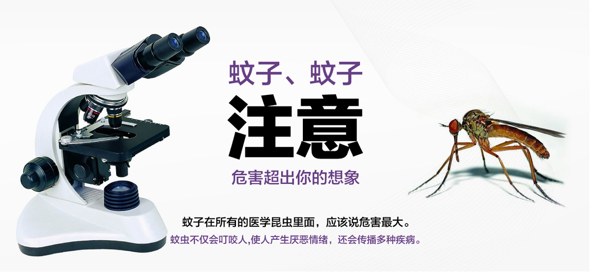 蚊子危害超出你的想象。